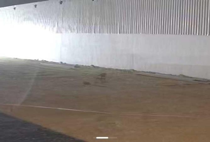 52725018 - Property Image 2