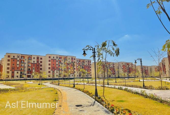 80254657 - Property Image 2