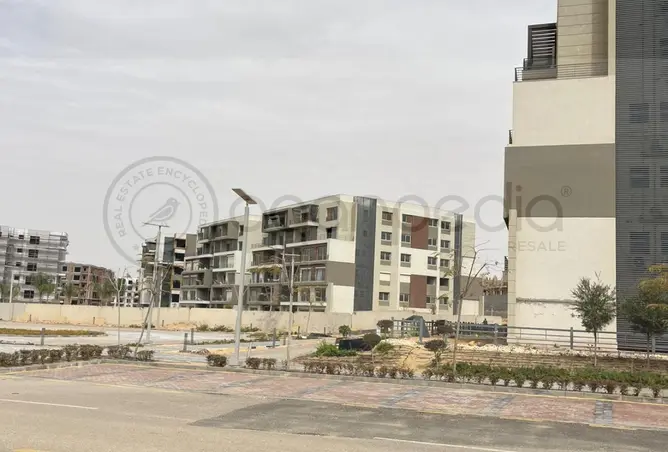 118548067 - Property Image 3