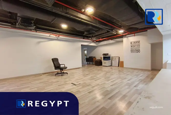116484597 - Property Image 3