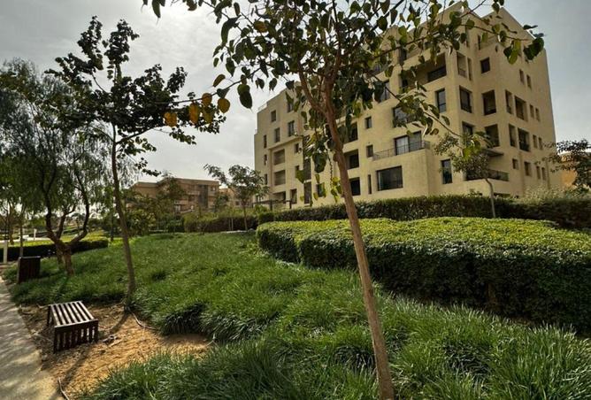 55993507 - صورة العقار 3