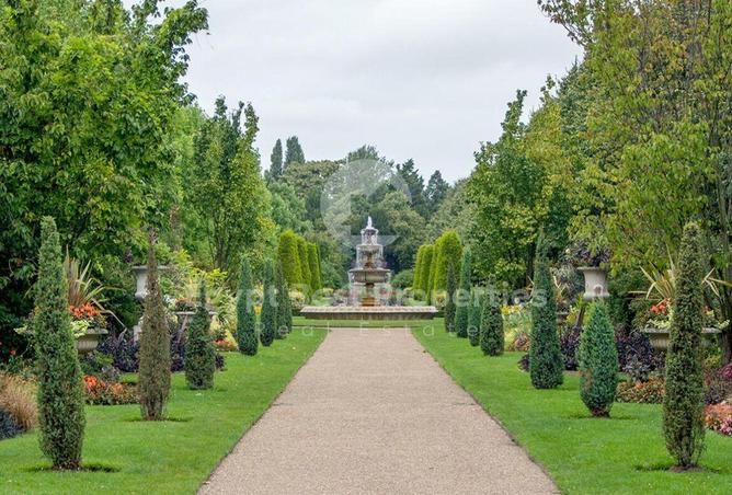 73773569 - Property Image 2