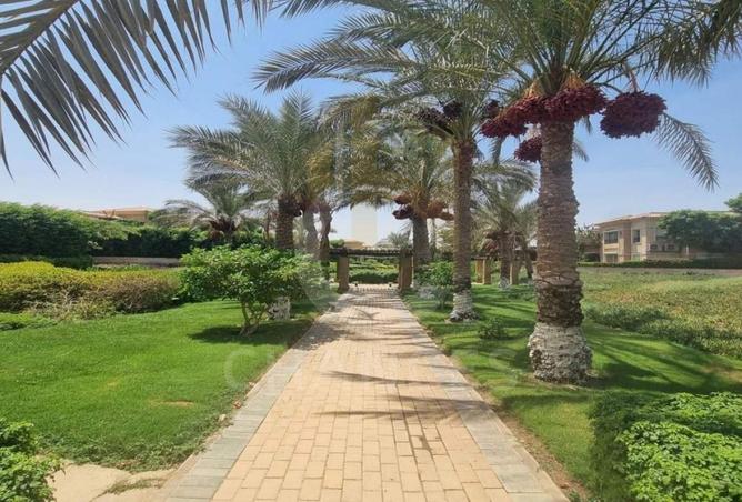 53720937 - صورة العقار 3