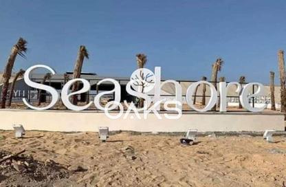 Chalet - 3 - 2 for sale in Seashore - Ras Al Hekma - North Coast