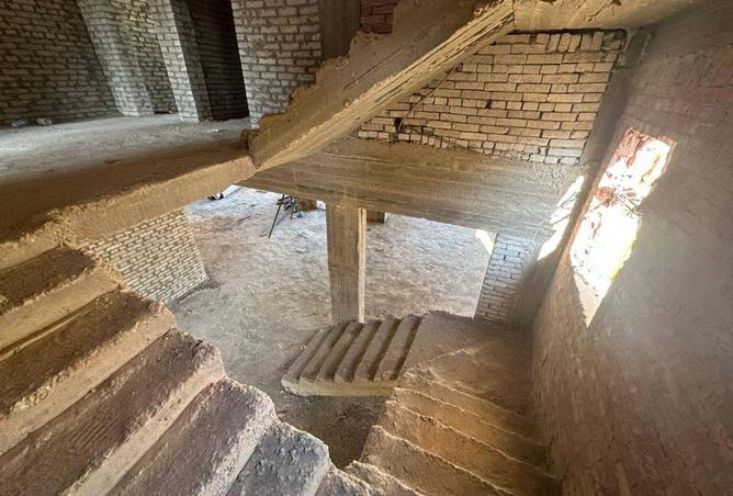 55251523 - Property Image 3