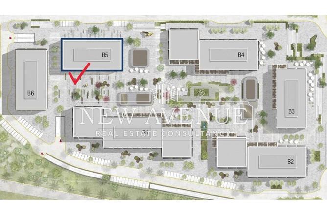 61451646 - صورة العقار 2