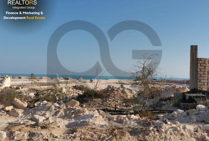 62405937 - Property Image 2