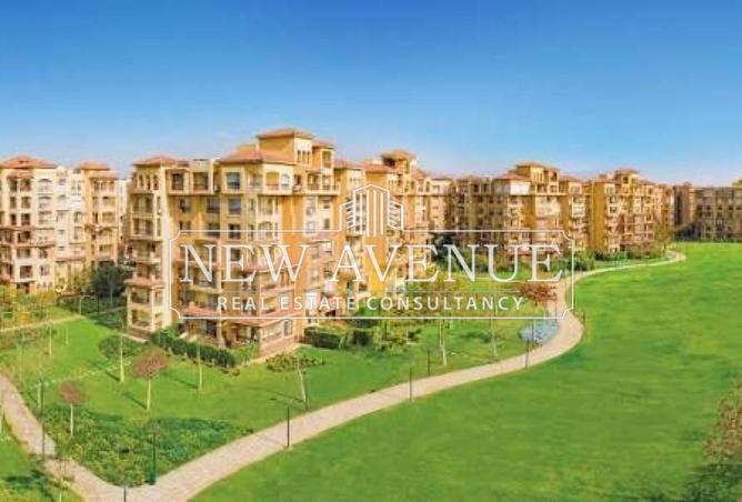 57492487 - Property Image 3