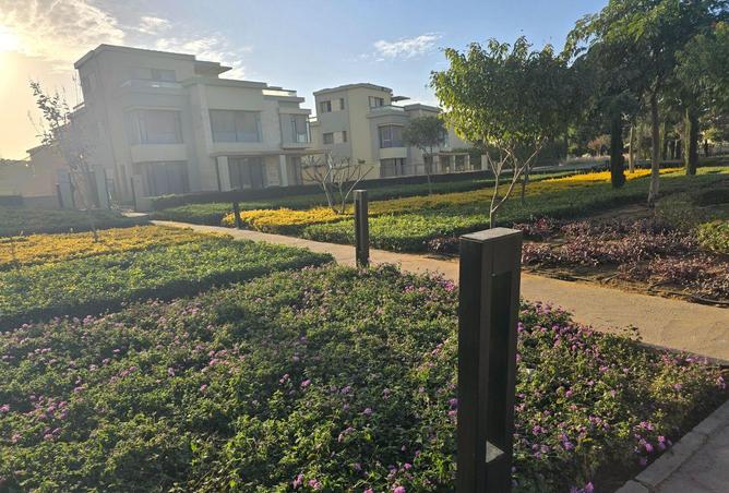 55500925 - صورة العقار 3