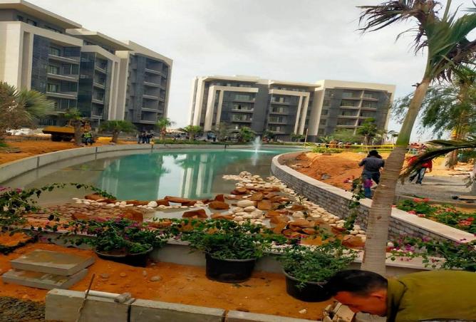 8588048 - صورة العقار 2