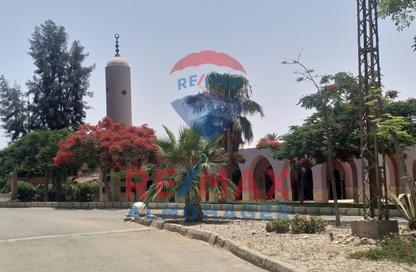 قطعة أرض - استوديو للبيع في افق - طريق مصر اسكندرية الصحراوي - مدينة 6 أكتوبر - الجيزة