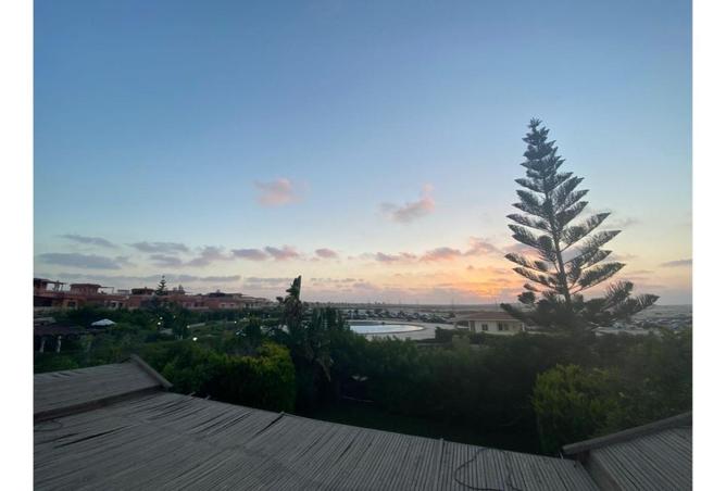 108508385 - Property Image 3