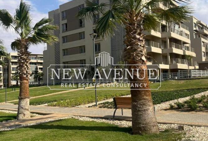 58241569 - Property Image 2