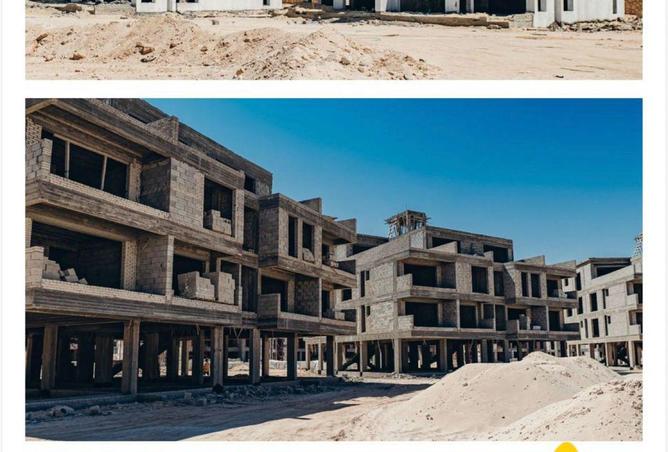 65921635 - Property Image 3