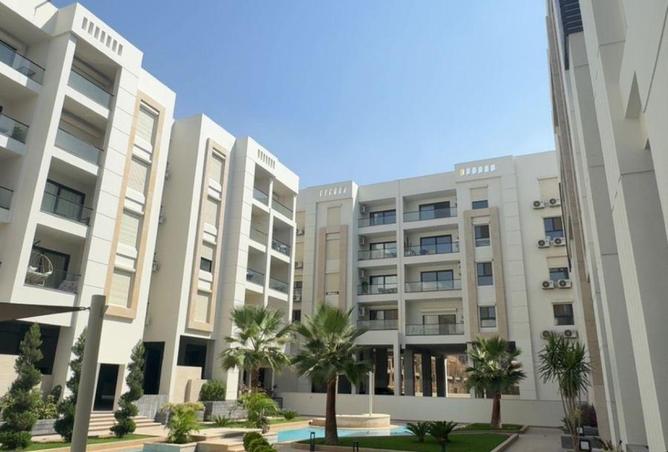 8711252 - Property Image 3