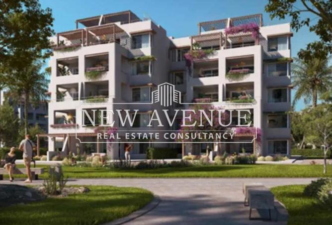 66430601 - Property Image 3