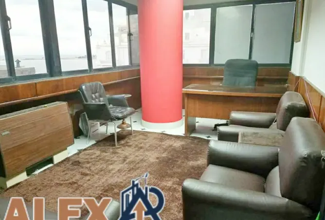 117527911 - Property Image 2
