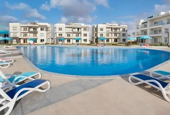 81572868 - صورة العقار 3