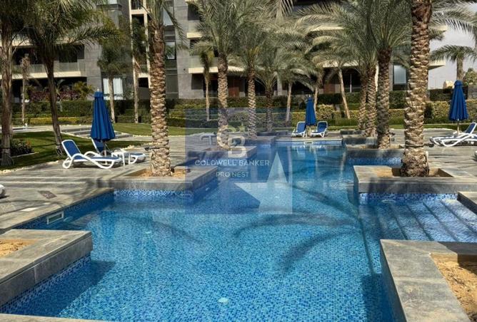 56263196 - Property Image 3