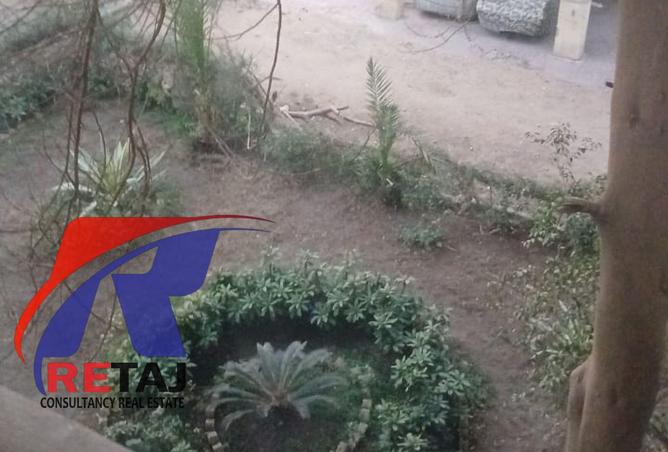 8554282 - صورة العقار 2