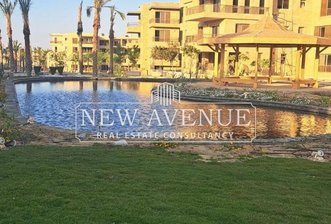 8601735 - Property Image 3