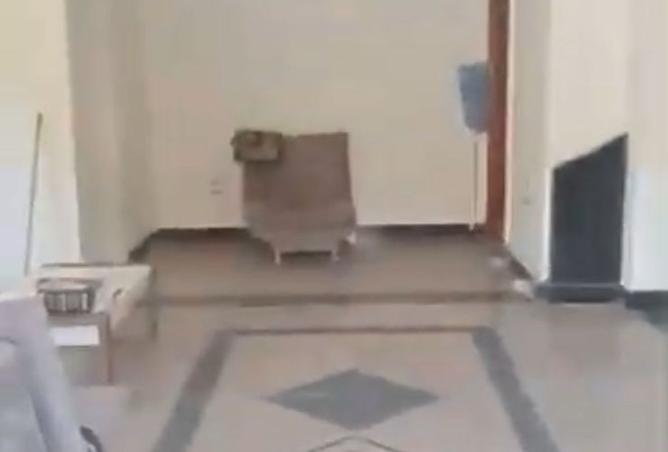 8530922 - Property Image 3