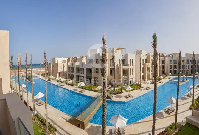 113543385 - صورة العقار 2
