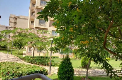 شقة - غرفة نوم - 1 حمام للايجار في پريڤادو - مدينتي - القاهرة