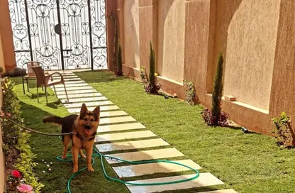 شقة - 3 غرف نوم - 2 حمامات للايجار في المنطقة السياحية الرابعة - المنطقة السياحية - الحي المتميز - مدينة 6 أكتوبر - الجيزة