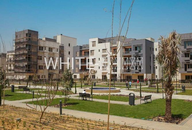 76776173 - Property Main Image