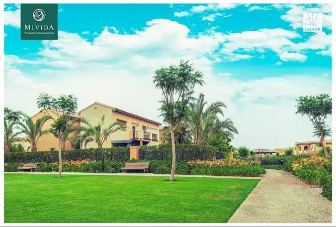 117786168 - Property Image 2