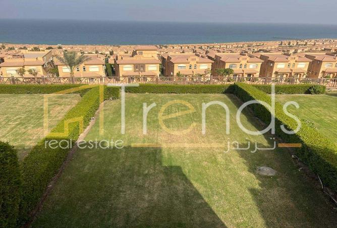 64902790 - صورة العقار 3