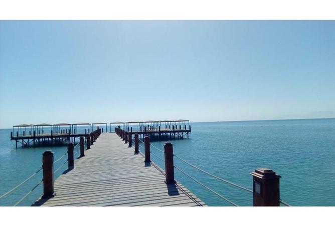 64379099 - صورة العقار 3