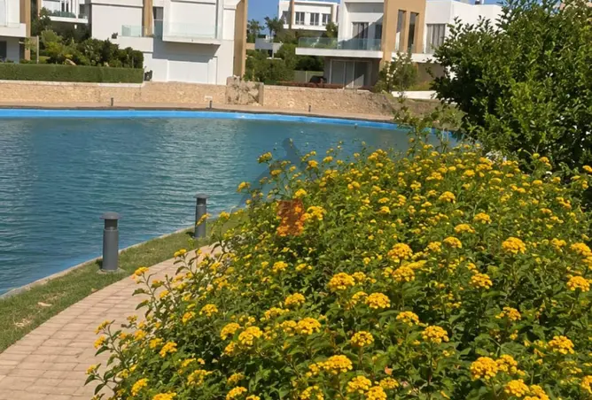 113534426 - صورة العقار 3