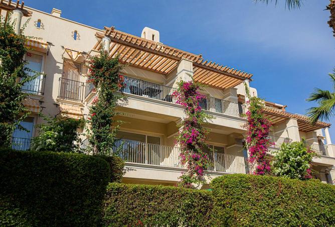 69572345 - صورة العقار 3