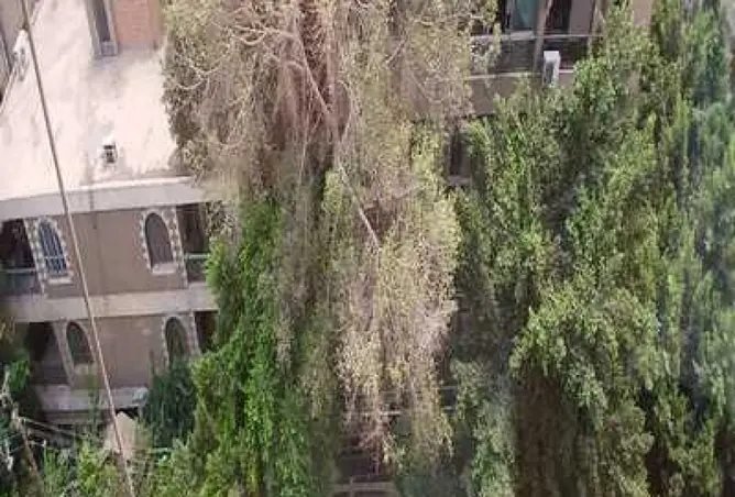 115432368 - صورة العقار 3