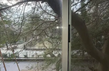 Apartment - 2 Bedrooms - 2 Bathrooms for sale in Hassan Sabri St. - Zamalek - Cairo