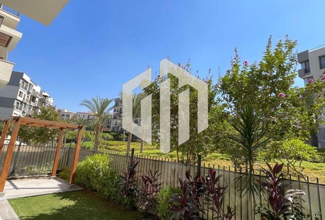 66686894 - صورة العقار 3