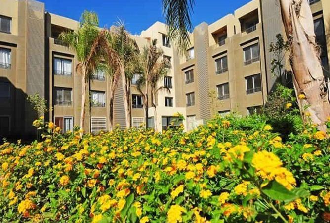 8693455 - صورة العقار 3