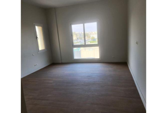 55512138 - Property Image 3