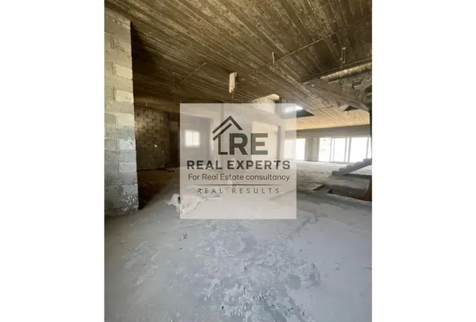 119327088 - Property Image 3