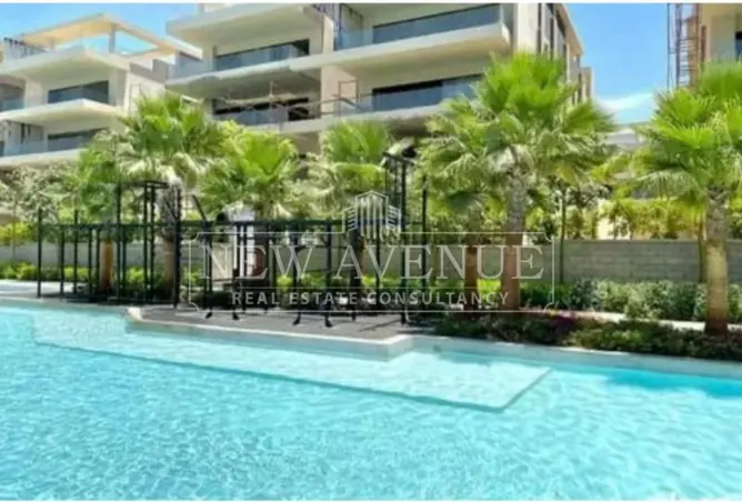 113257984 - Property Image 2