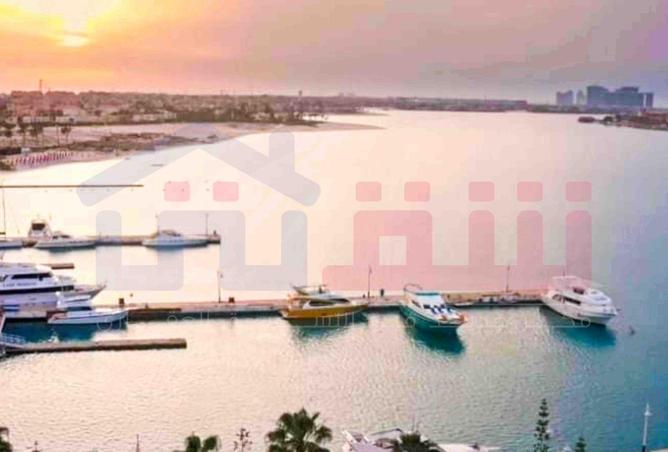 58736204 - صورة العقار 3