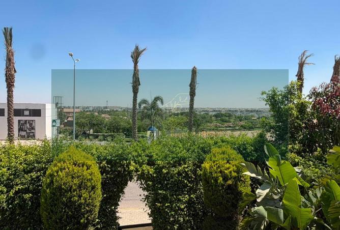 109078516 - Property Image 2