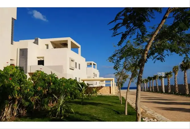 101777379 - Property Image 2