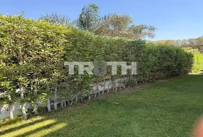 117001670 - Property Image 3