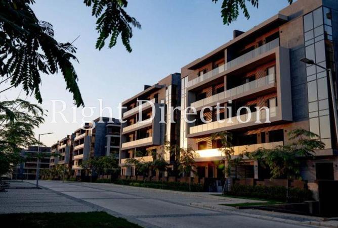 8662087 - Property Image 3