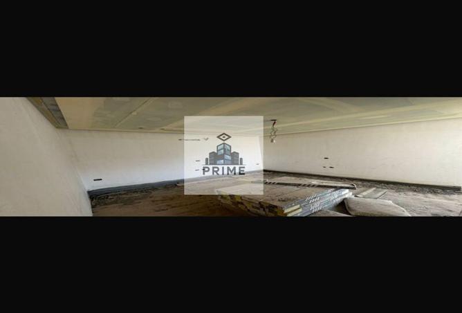 81048511 - Property Image 3