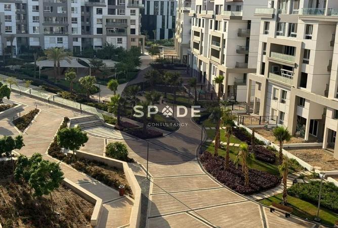 55498421 - Property Image 2