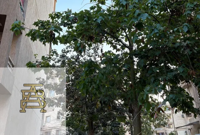 89245351 - Property Image 3